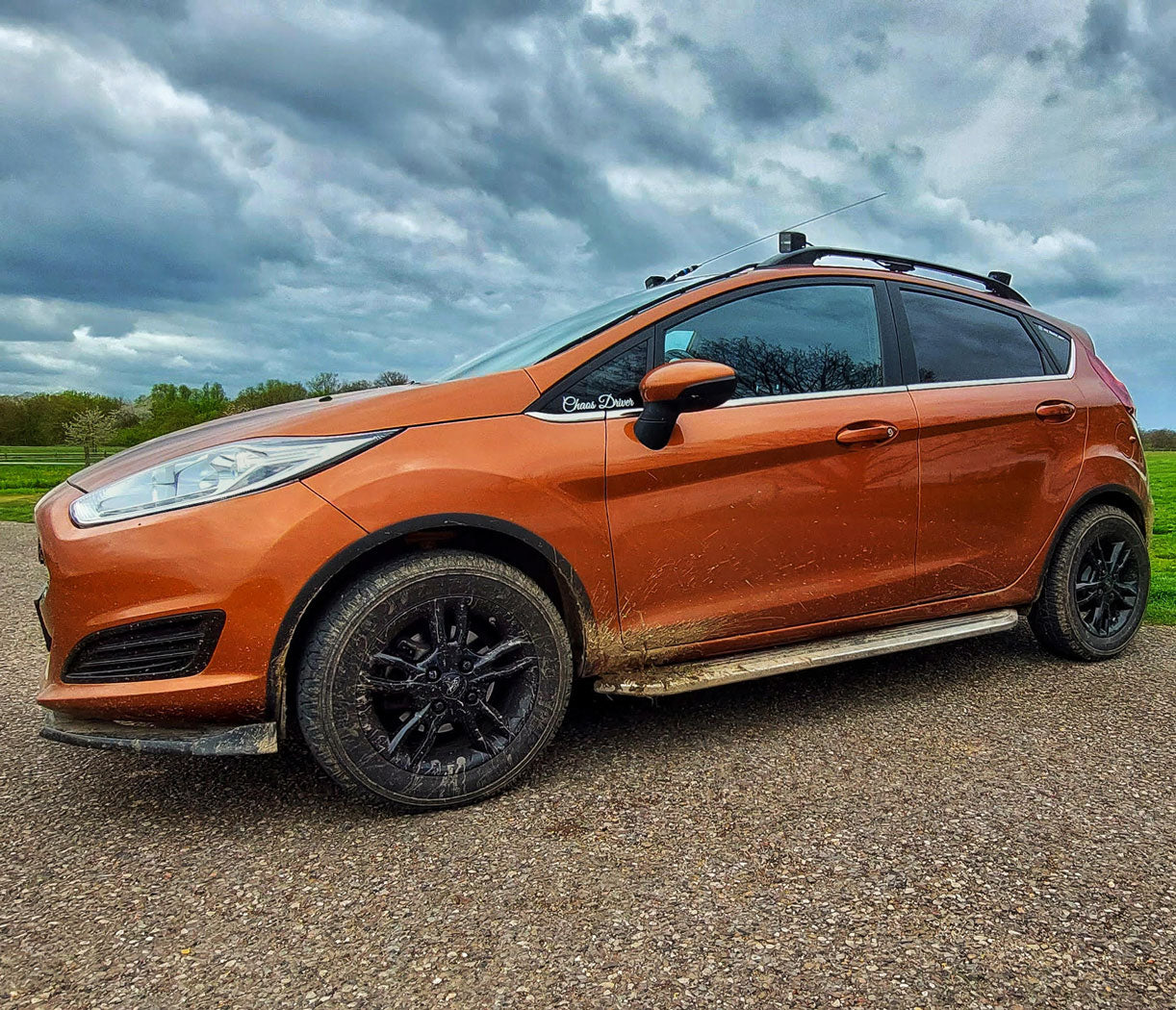 Ford EcoSport ab Bj. 13 Trittbretter "Premier" - Direct 4x4 Autozubehör