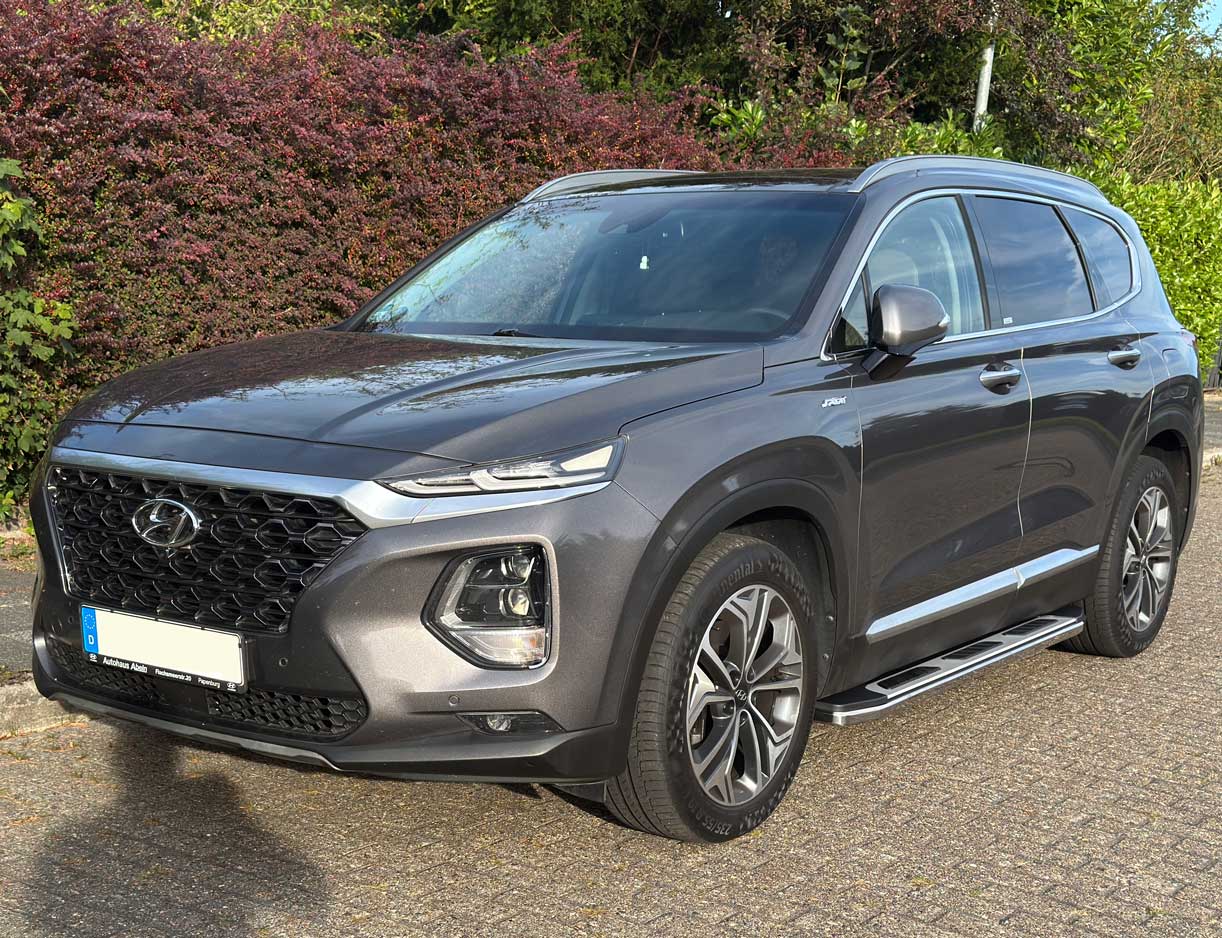 Hyundai Santa Fe Bj. 18-20 Pre-Facelift Trittbretter "Suburban"
