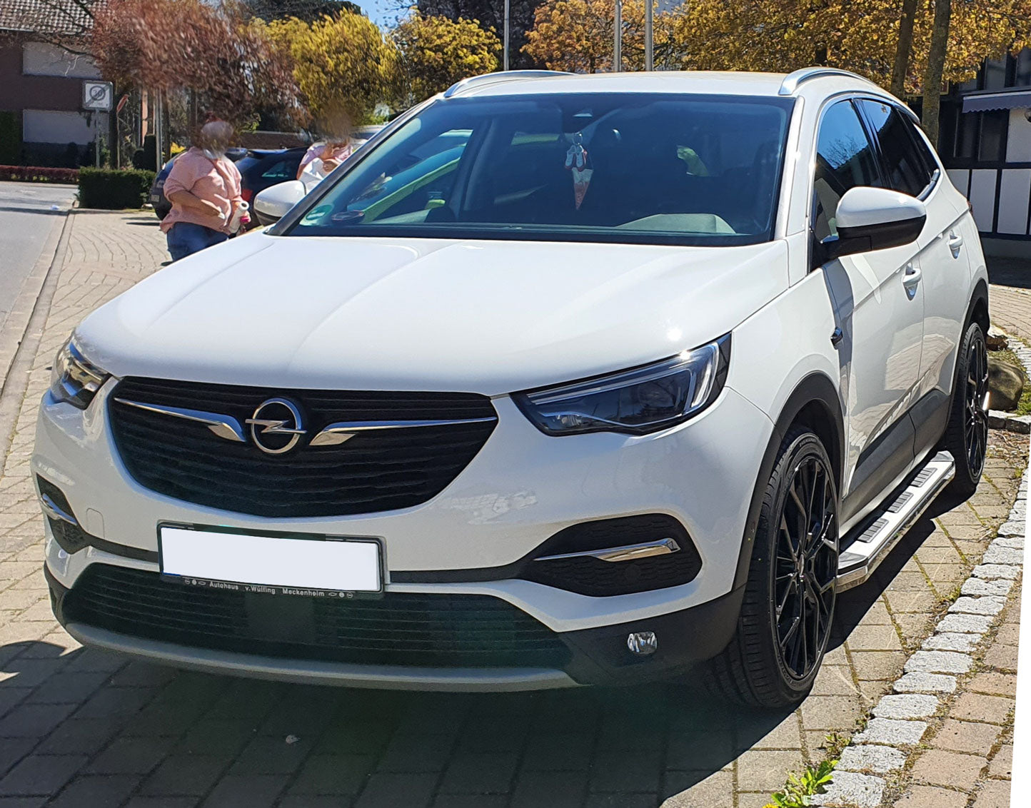 Opel Grandland X ab Bj. 17 Trittbretter "Suburban" - Direct 4x4 Autozubehör