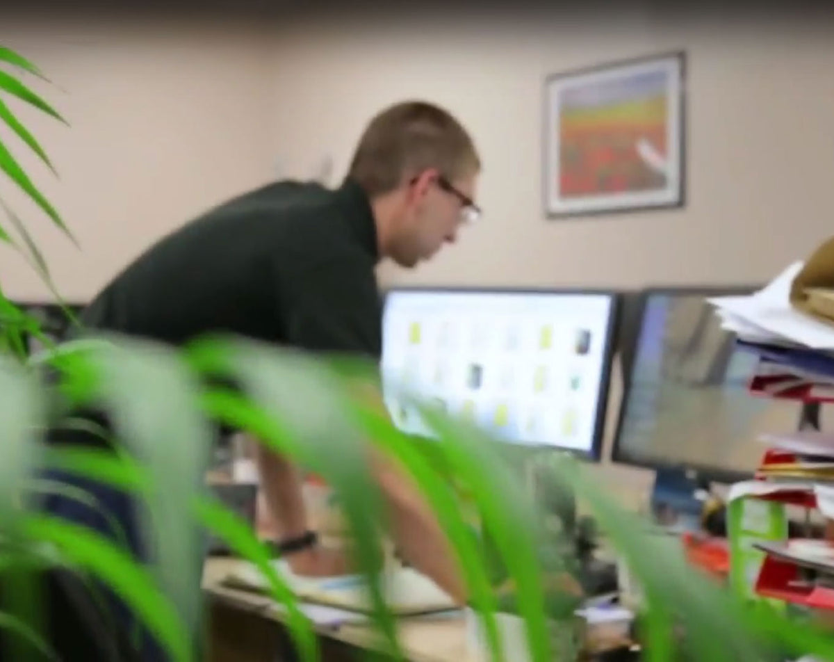 Von Freud und Leid eines Umzuges