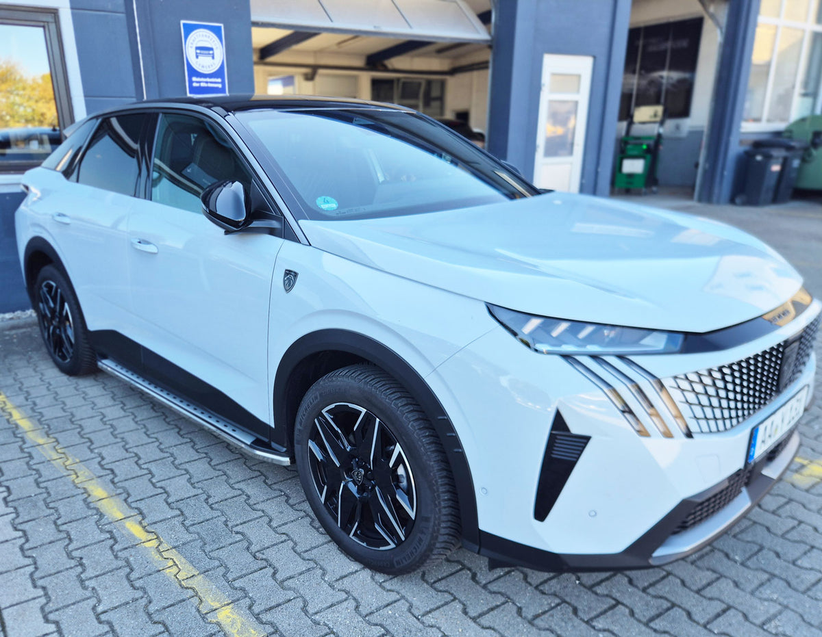 Peugeot 3008 ab Bj. 25 Trittbretter "Freedom"