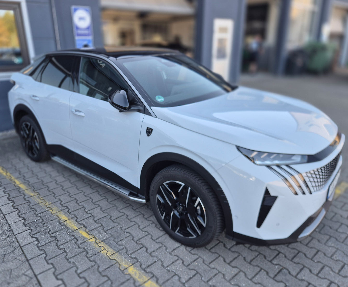 Peugeot 3008 ab Bj. 25 Trittbretter "Freedom"