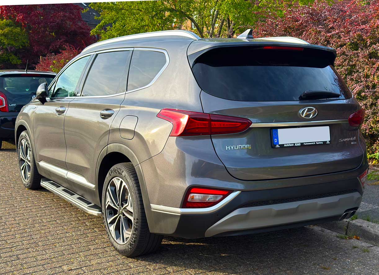 Hyundai Santa Fe Bj. 18-20 Pre-Facelift Trittbretter "Suburban"