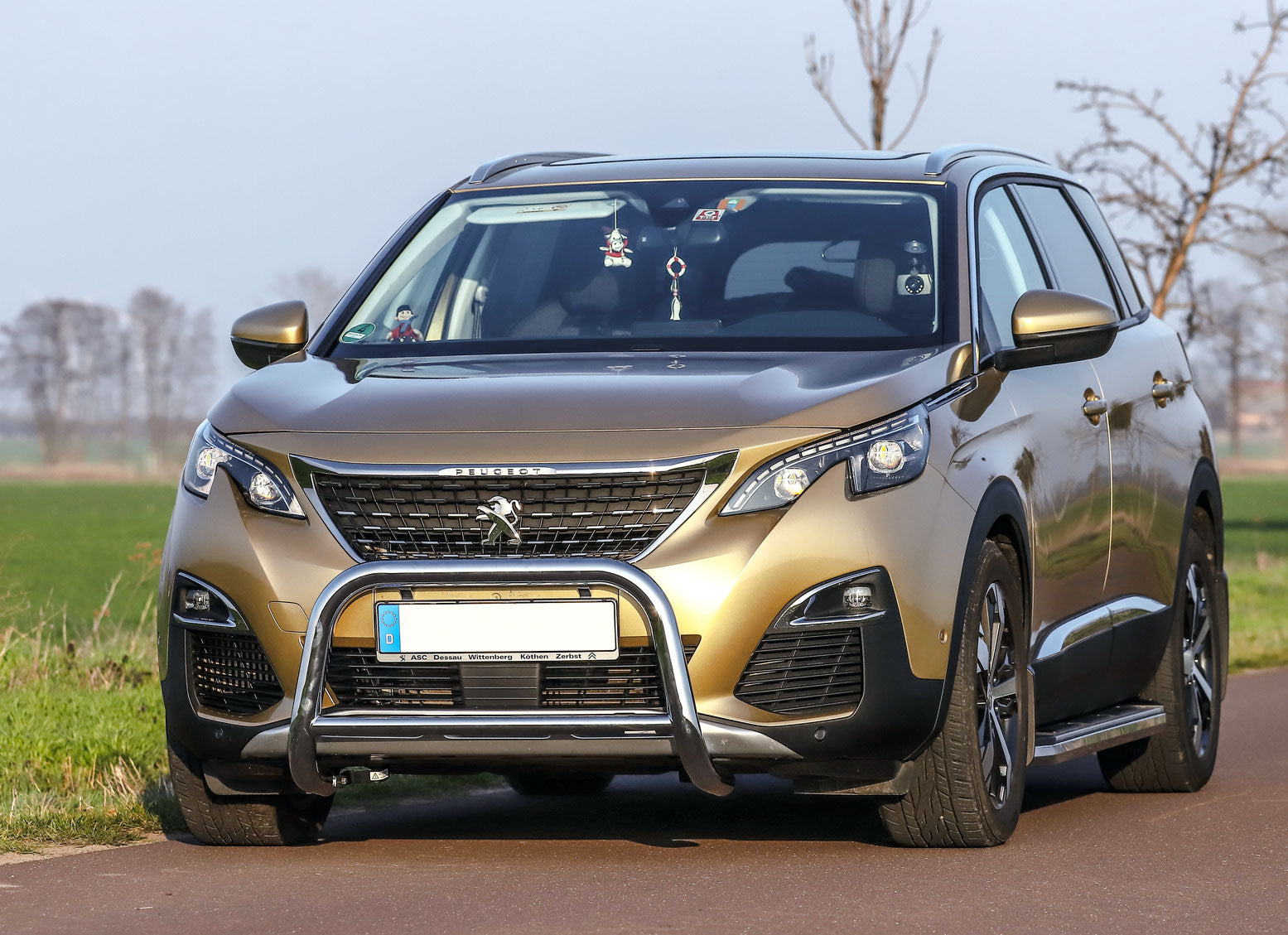 Peugeot 5008 ab Bj. 17 Trittbretter "Suburban" - Direct 4x4 Autozubehör